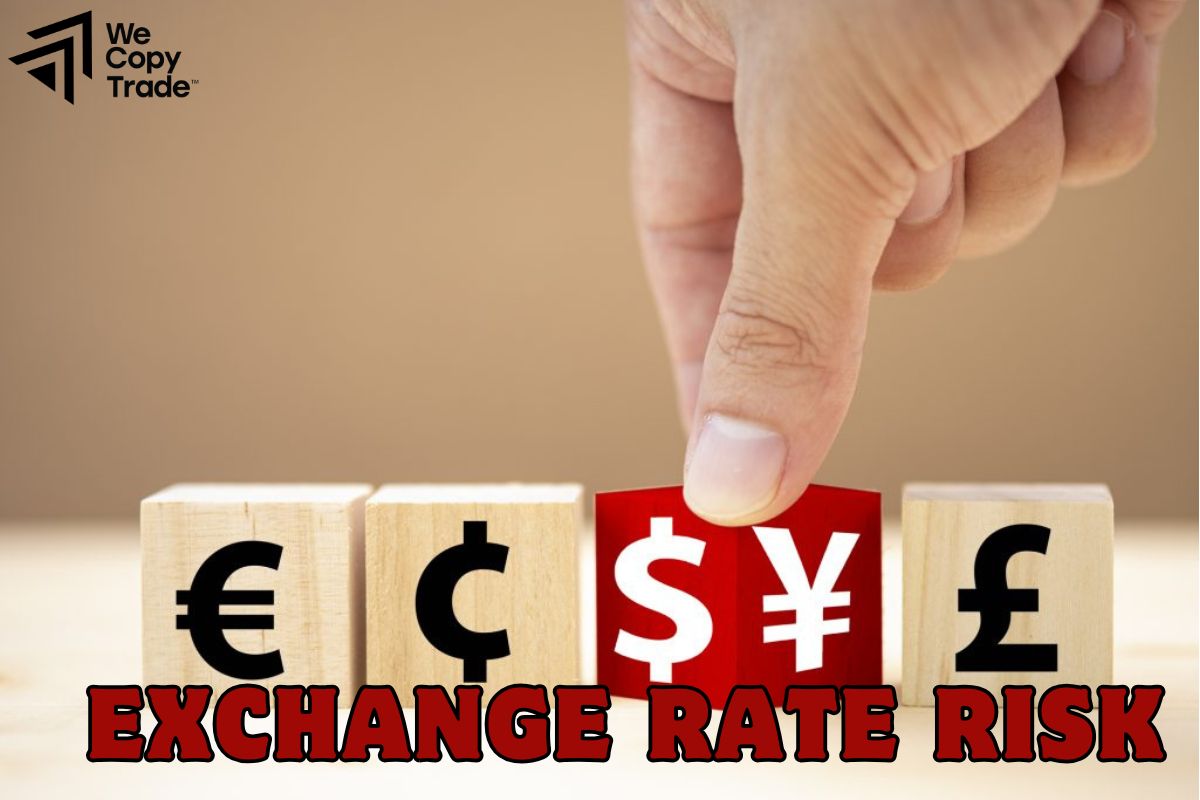 Exchange rate risk