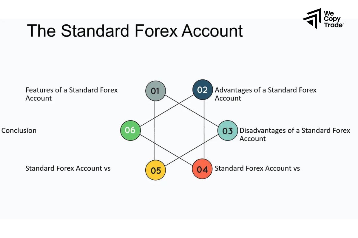 Types of Forex Accounts