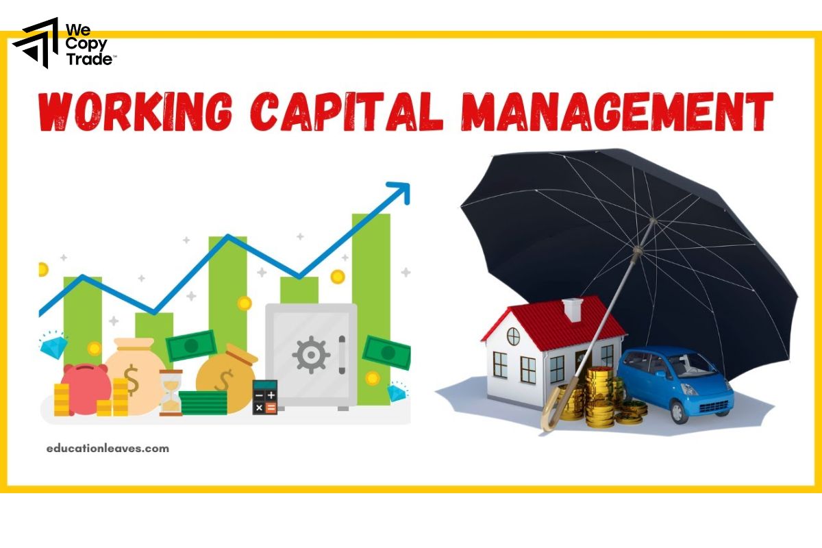 What is Capital Management? 