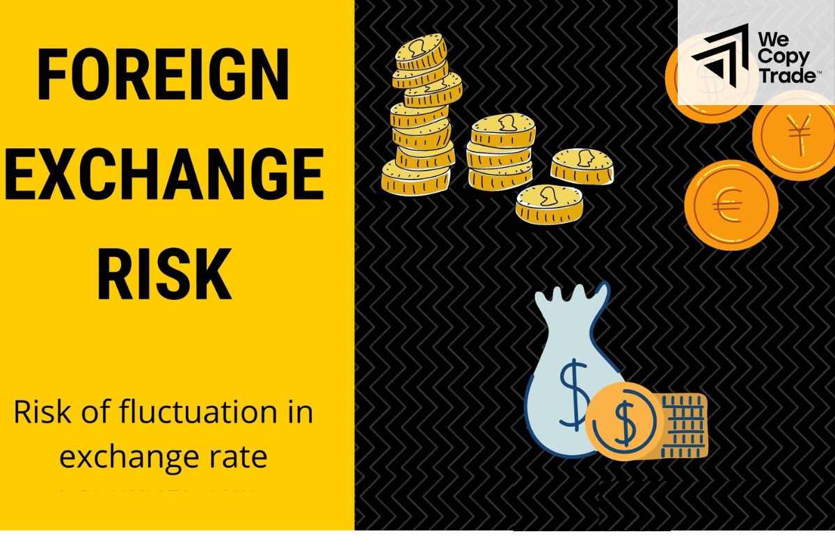 What is foreign exchange risk? 