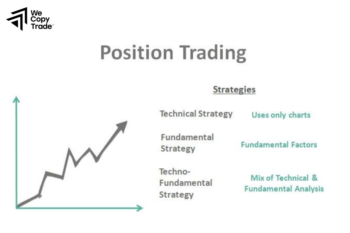 Guide to Trading with Position Trading Strategy