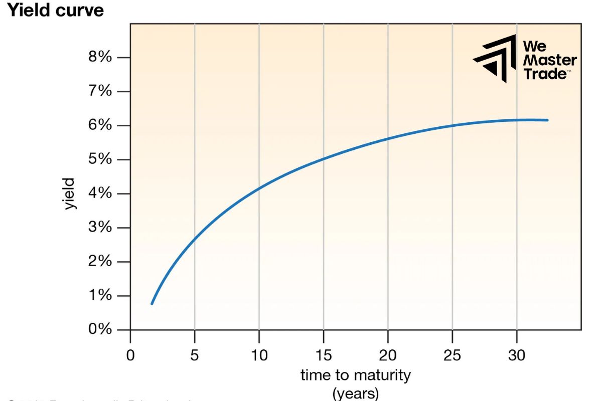 What is the Yield Curve?