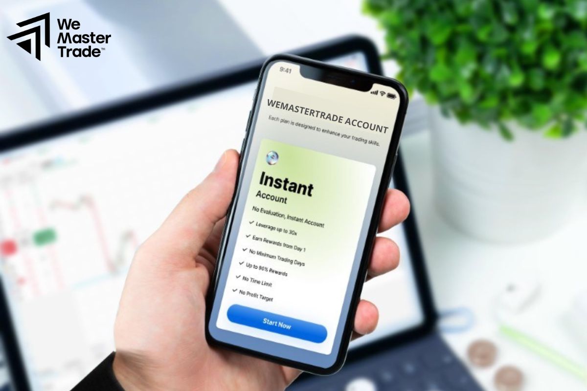 Trader Mới Nên Chọn Loại Tài Khoản Nào?