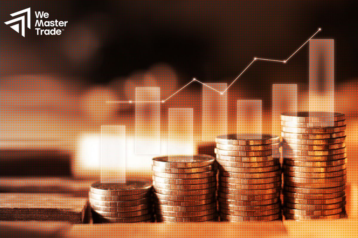 Quản Lý Payout và Tái Đầu Tư Lợi Nhuận